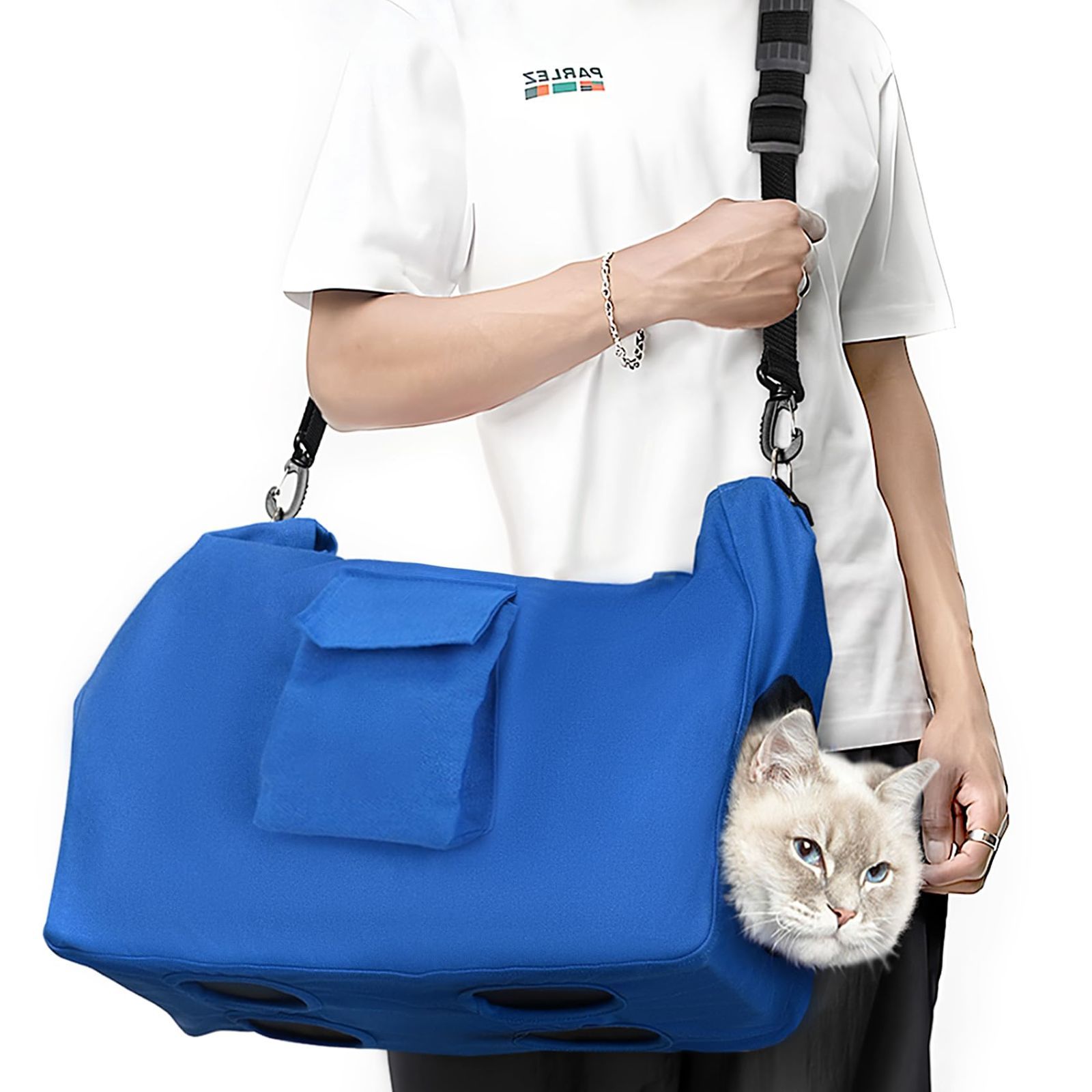 ブセファランドラsp.モトレイアーナ スーパー ブルー 0418