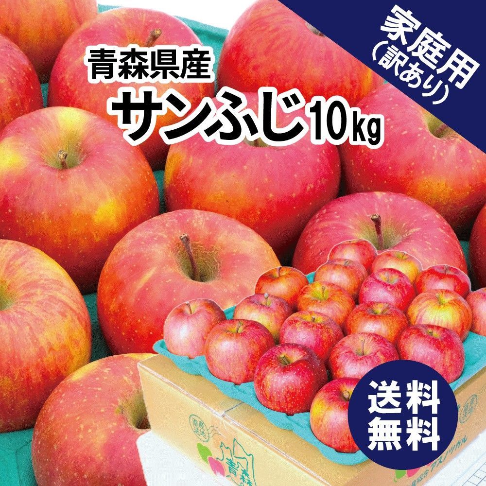 クール便 青森県産 サンふじ 10kg 10キロ 産地直送 青森 りんご 家庭用 ふじりんご