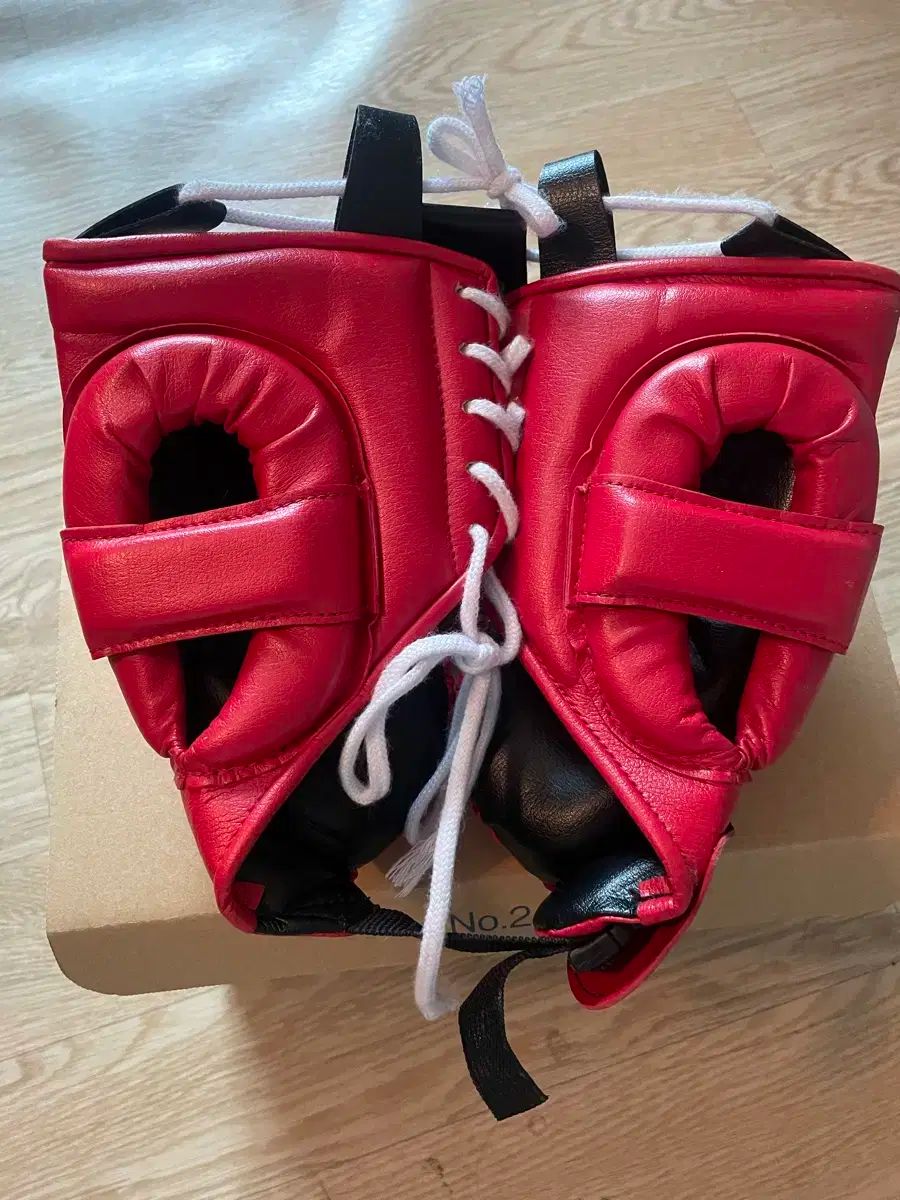 ルター 聖書 版画挿絵集 ドイツ語による説明 匿名発送 レア 貴重