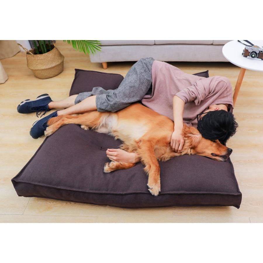 犬用