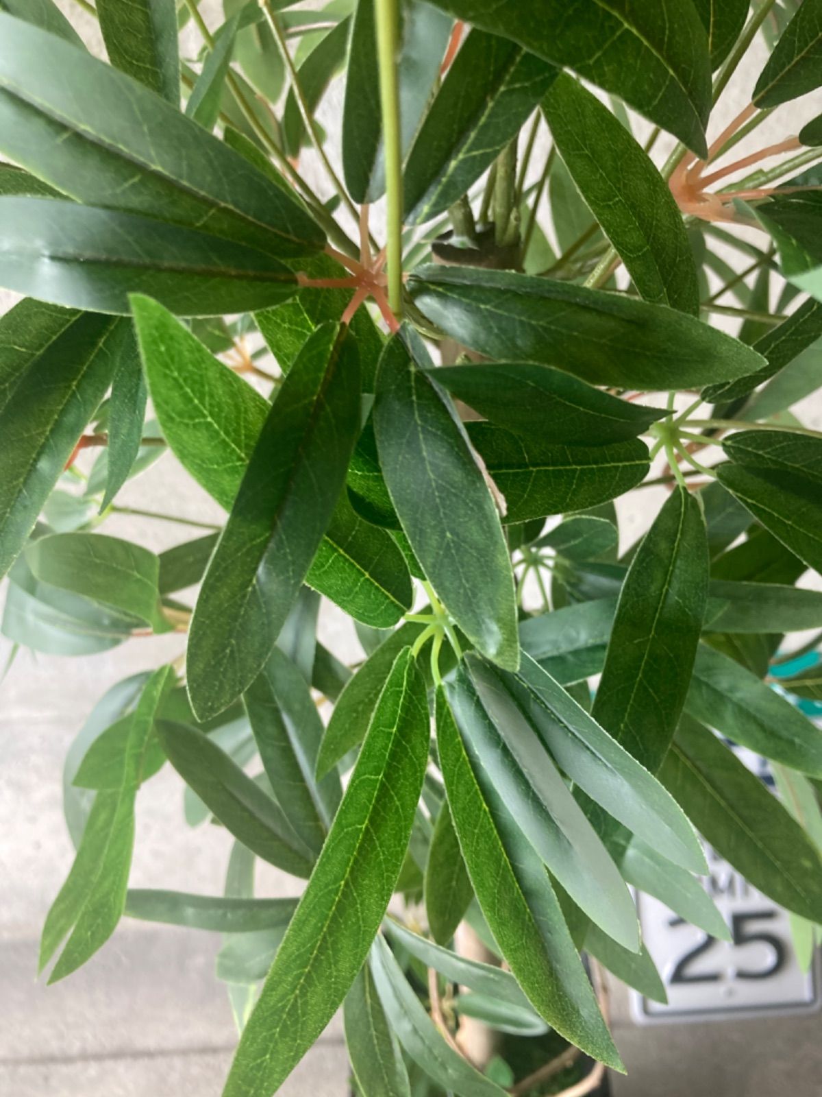 人工観葉植物 ウォールグリーン