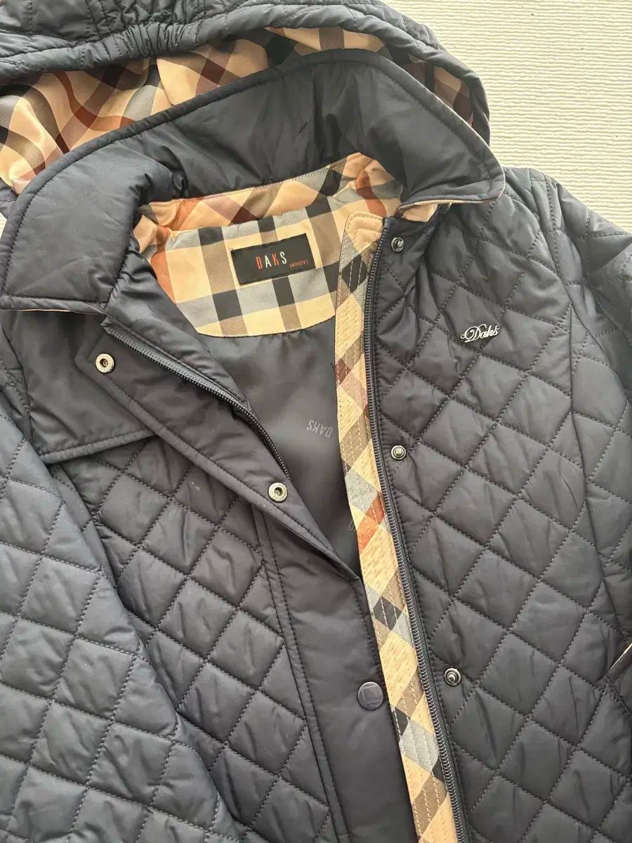 Little ダックスキッズ