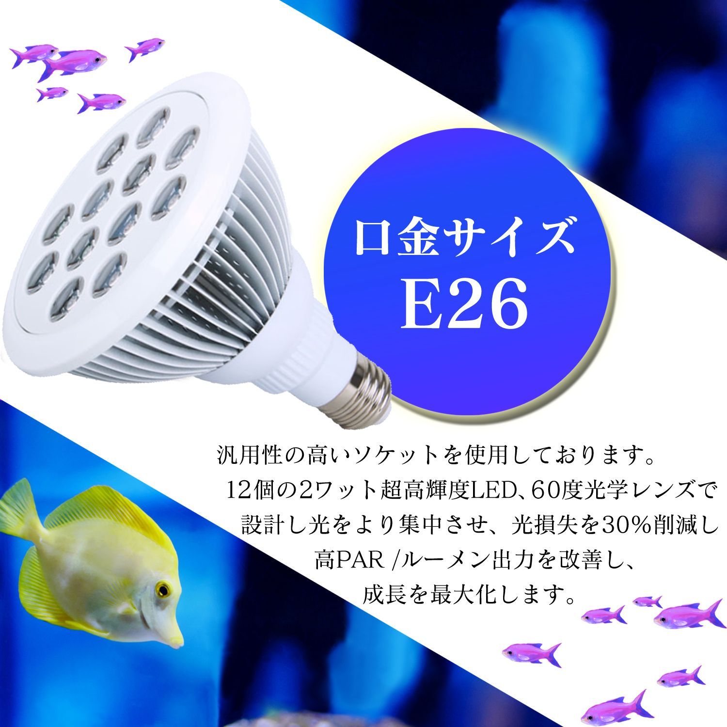 LED 水槽 アクアリウム ライト 【 青8 UV4 】24W E26 口金 珊瑚 水草 熱帯魚 飼育 観賞 室内 栽培 光合成 - メルカリ