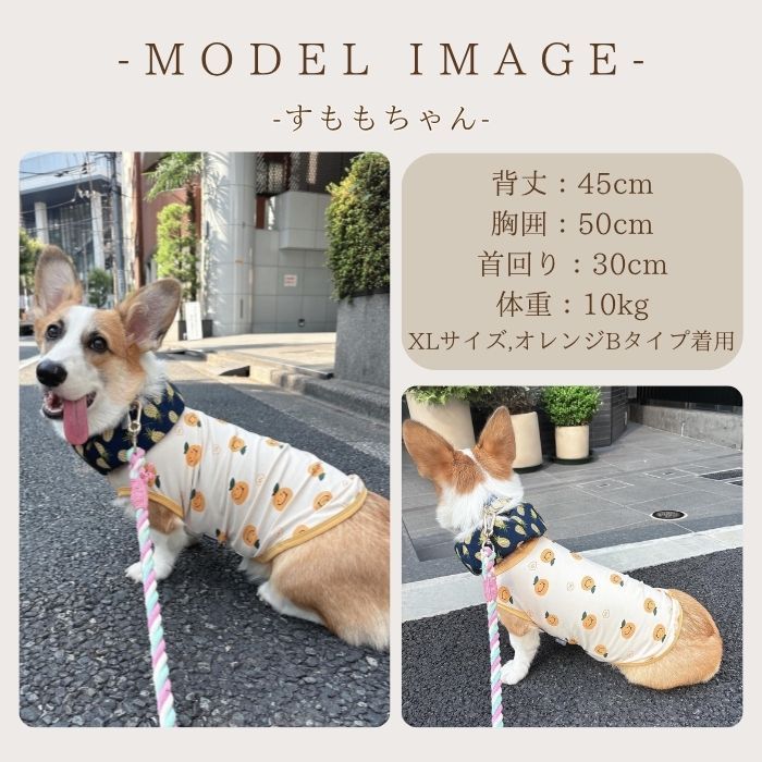 スイカ】犬服 夏服 ひんやり クール 接触冷感 抗菌 涼しい タンク