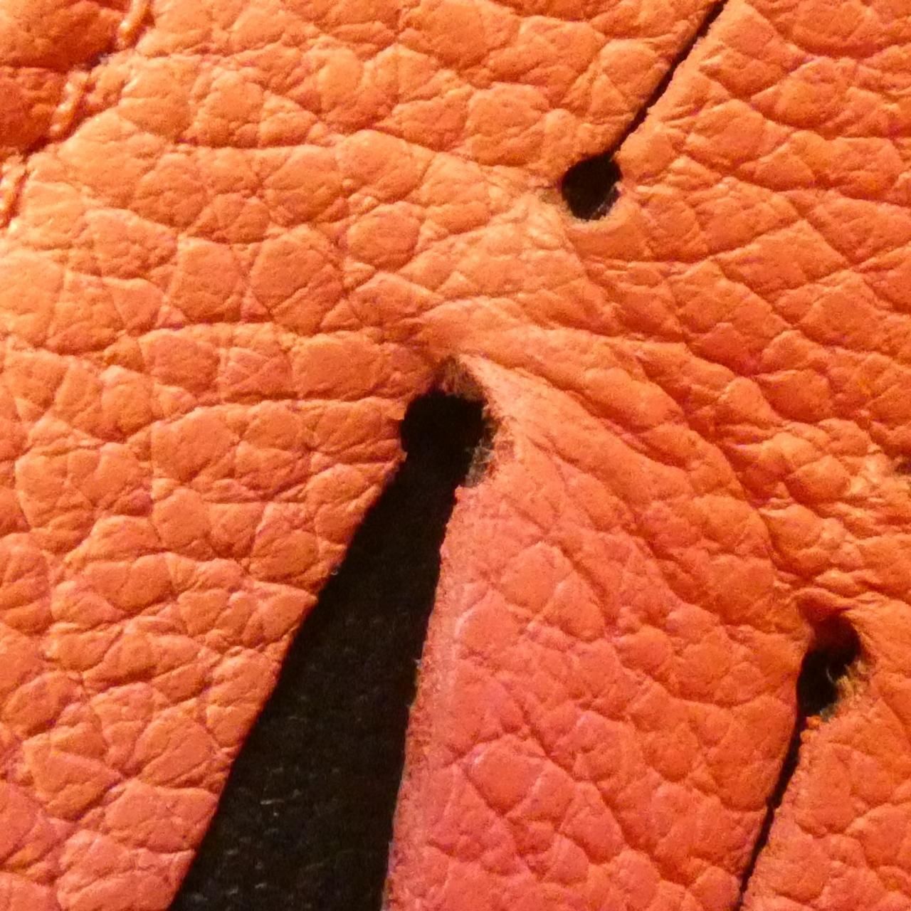 アンプラント ポルトフォイユ