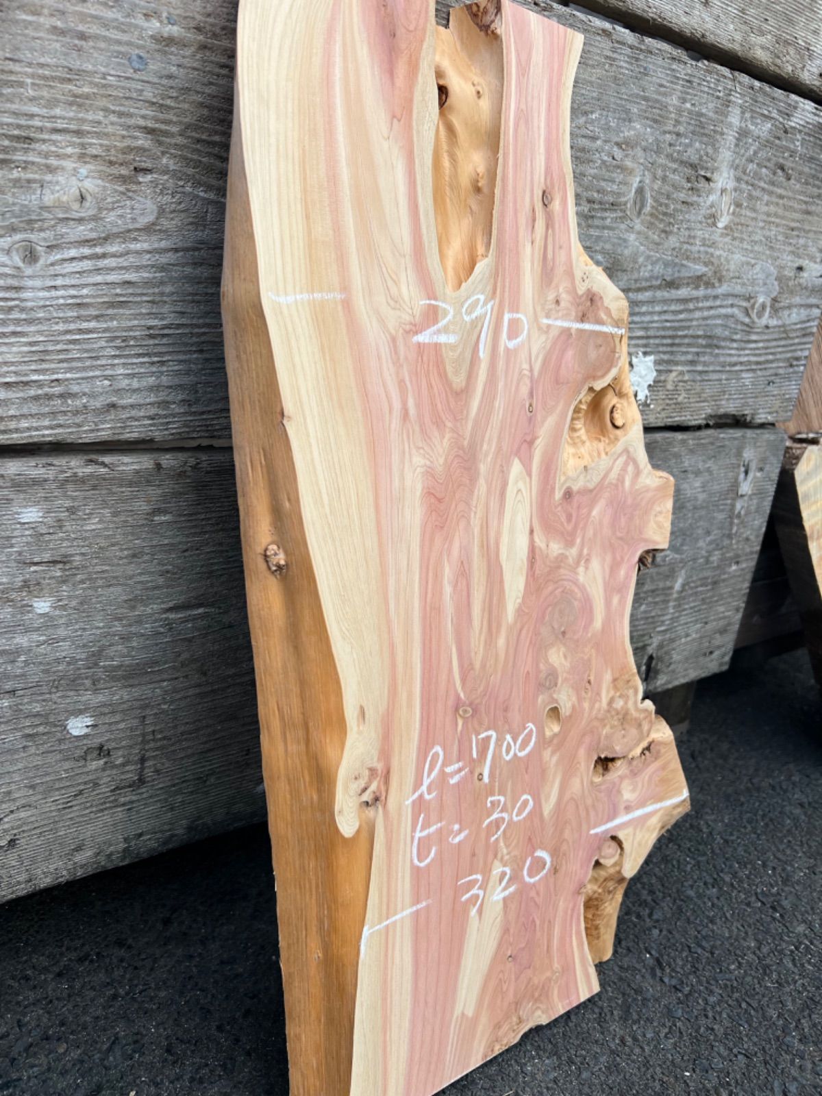 カイズカイブキ 一枚板 無垢材 DIY ウッドプレート レジン