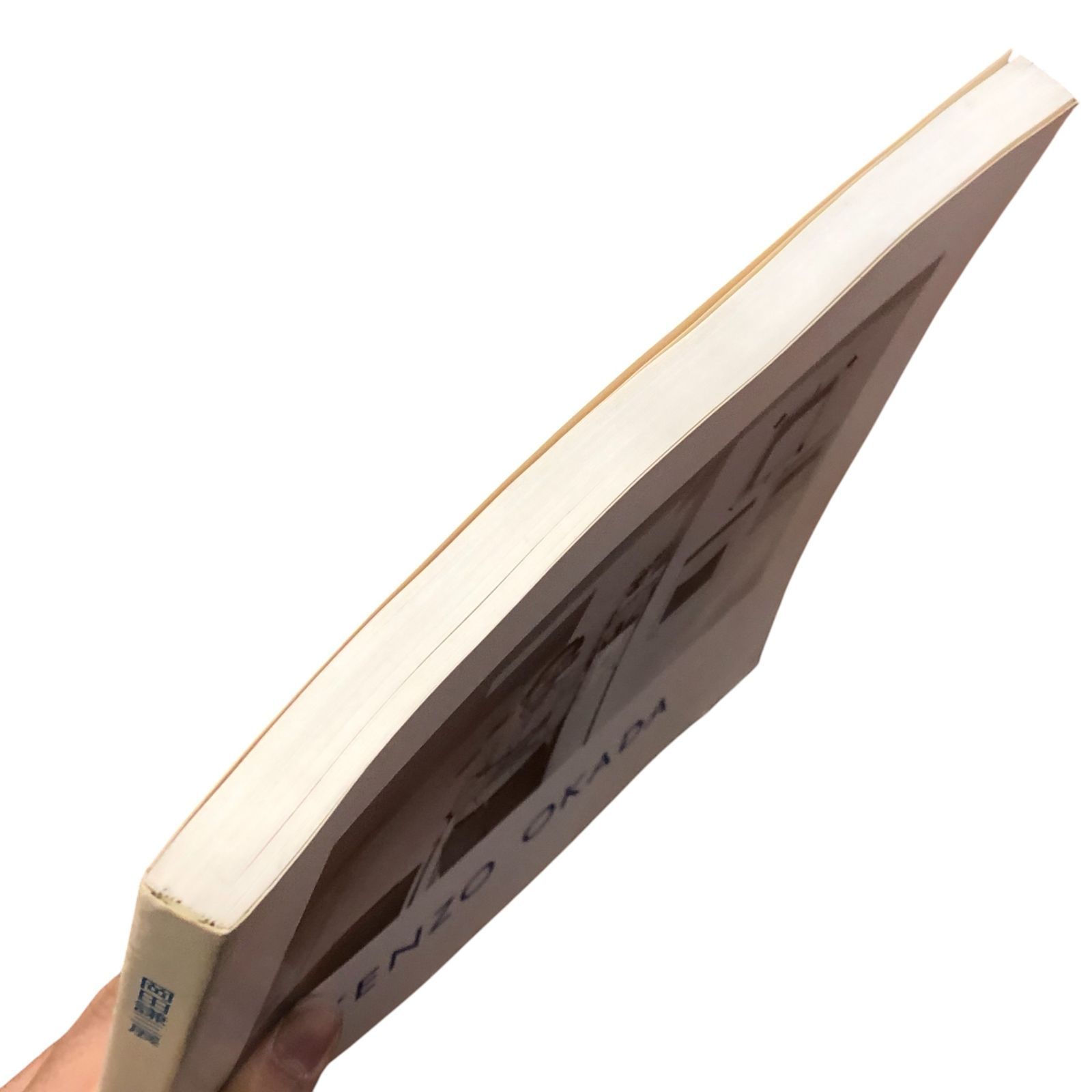 岡田謙三展（KENZO OKADA EXHIBITION） 岡田謙三 朝日新聞社 1989