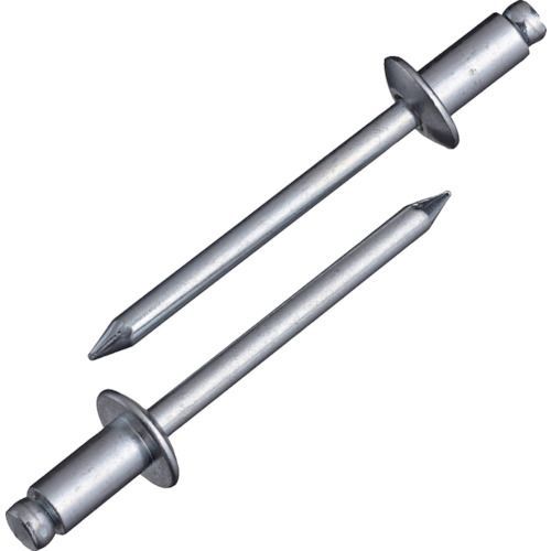 エビ ブラインドリベット スティール スティール製 ８−１０ １００本入 エコＢＯＸ