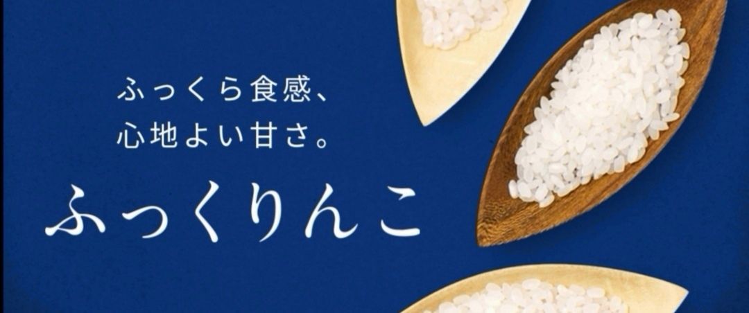 玄米　ふっくりんこ　❀ふっくりんことスターチス❀　5kg　メルカリ
