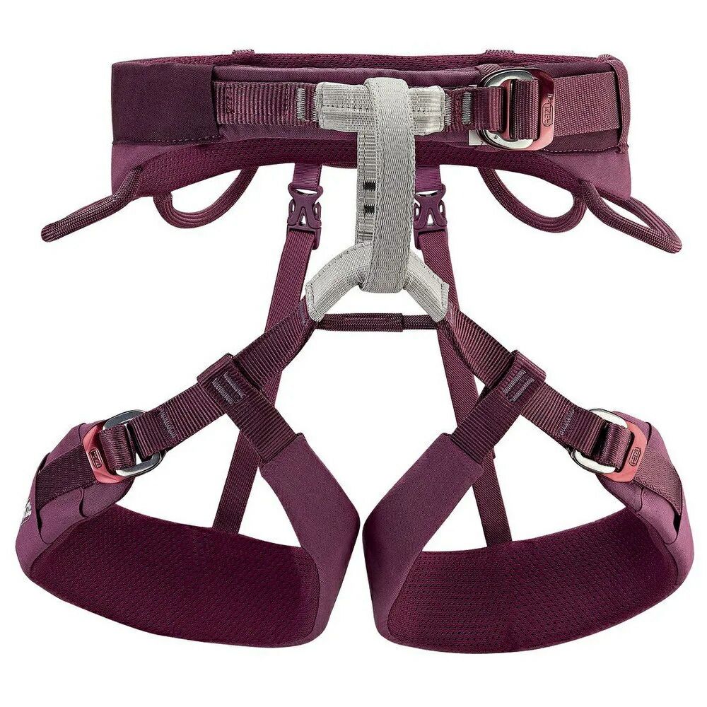 Harness