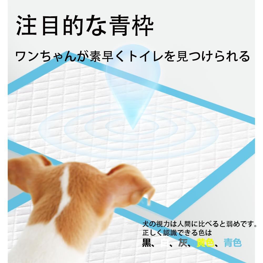 600枚 多頭飼い