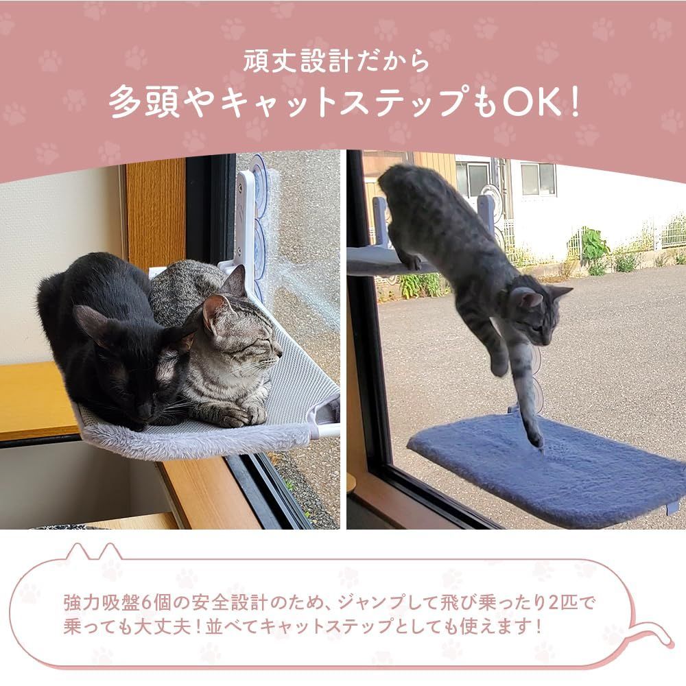 猫 ハンモック 窓 3点セット POOKIE 猫 窓 ハンモック スケルトン 窓