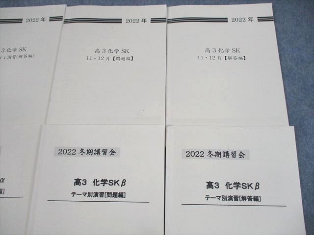 UR10-024 早稲田アカデミー 高3化学SK テストゼミ/テーマ別演習 テキスト 2022 計8冊 54M0D