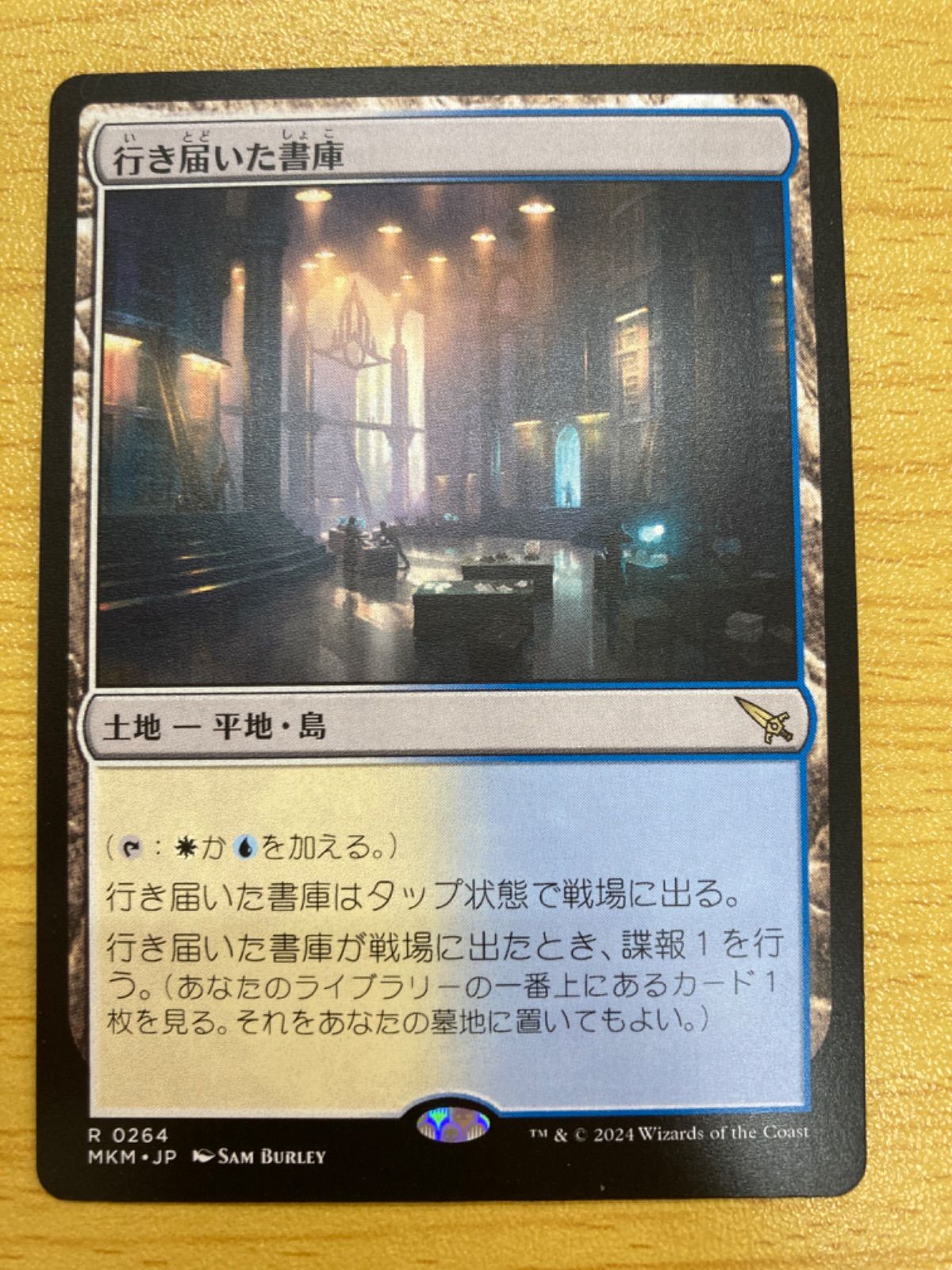 MTG 行き届いた書庫 日本語 - メルカリ