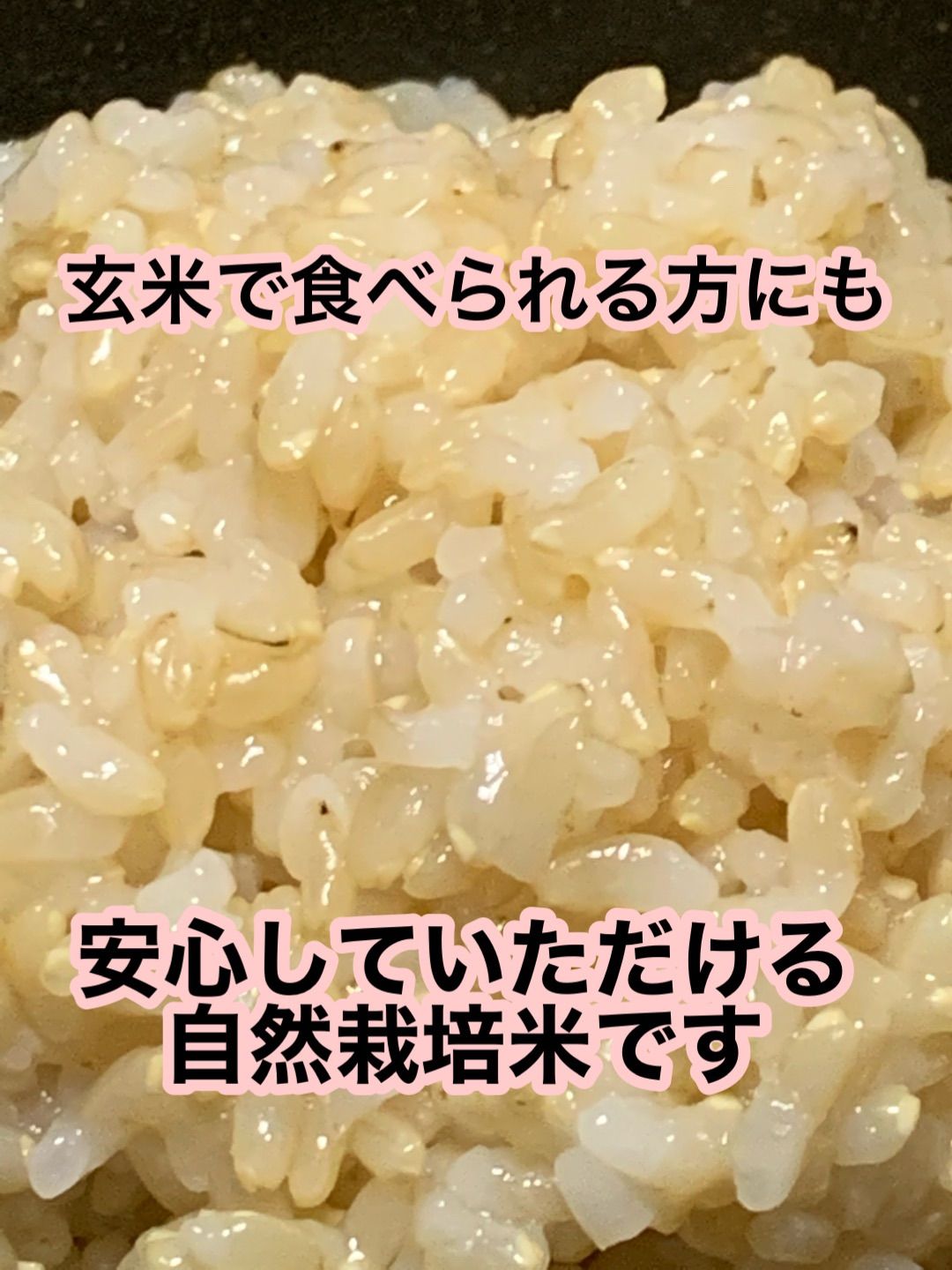 イセヒカリ】玄米5kg 新米 令和6年度兵庫県産 無農薬無施肥の