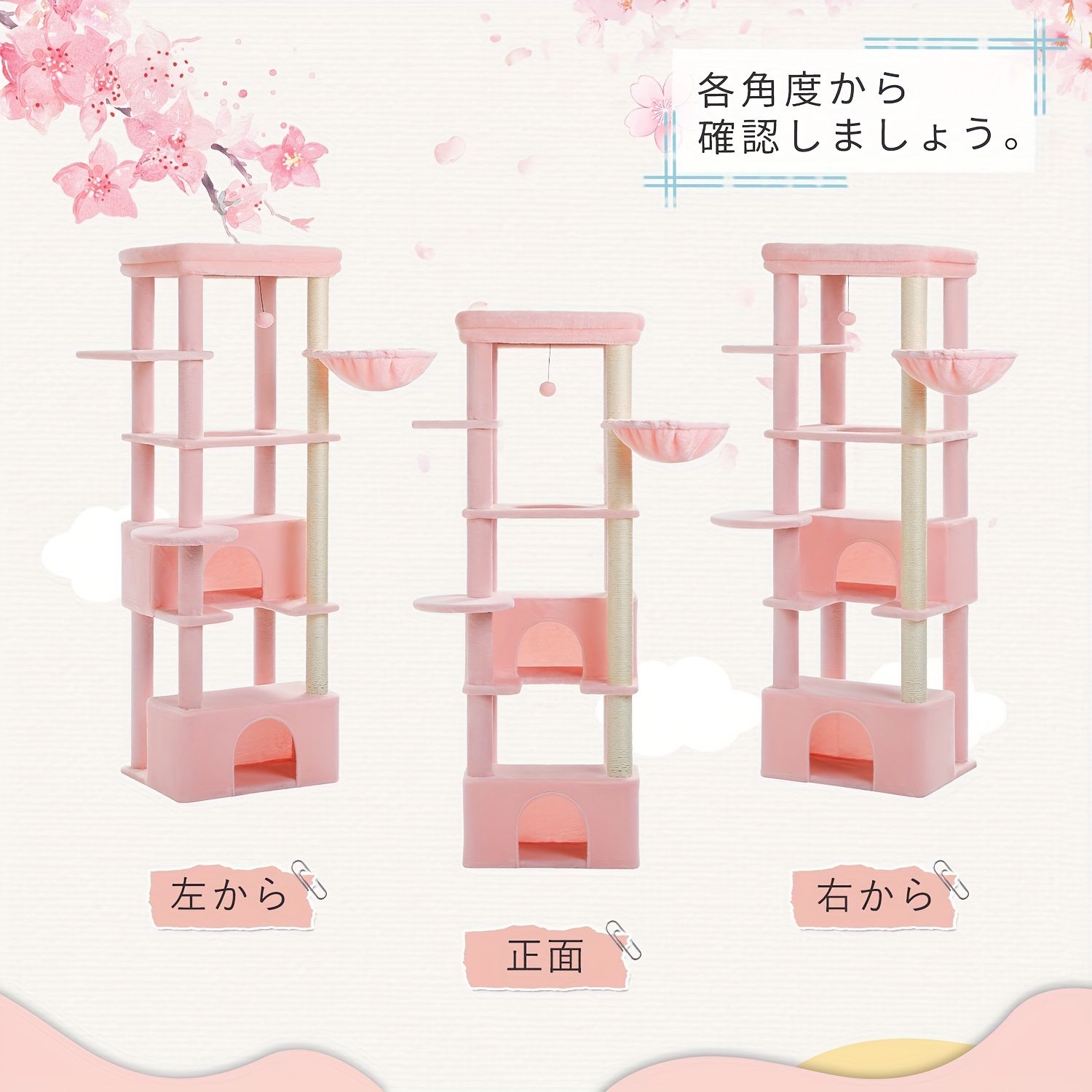 発送PAWZRoad