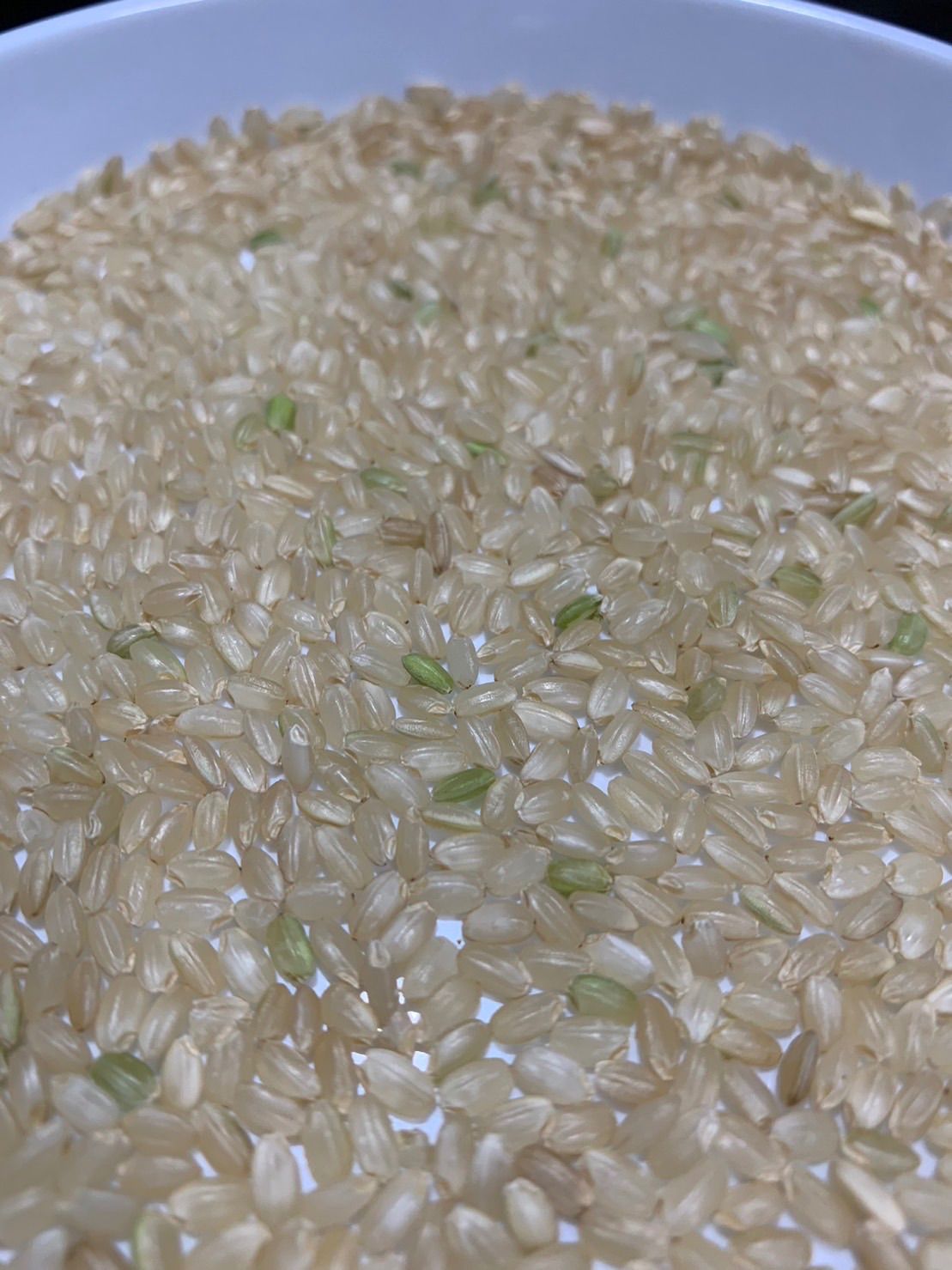 令和6年産 キヌヒカリ 新米玄米 20キロ 淡路島産20kg