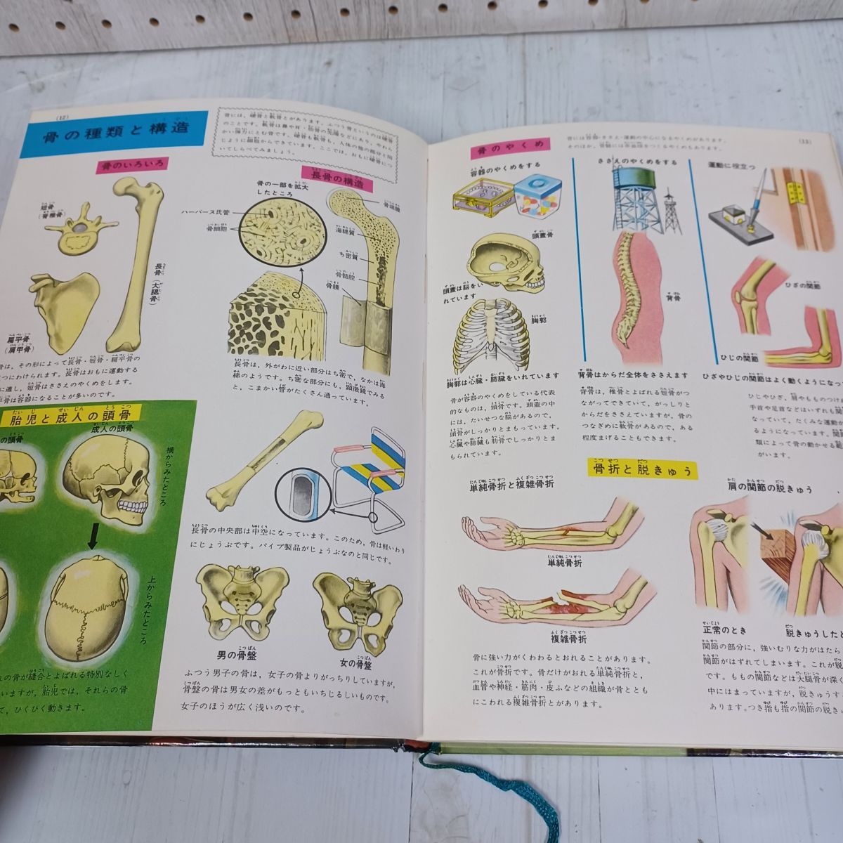 小学館の学習図鑑シリーズ8 保健と人体の図鑑 長谷川三郎・高田