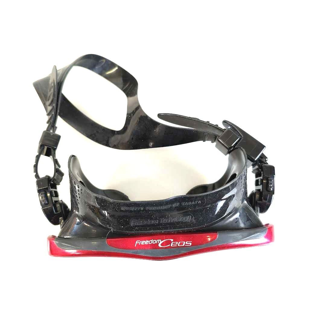 Mask-241029SS