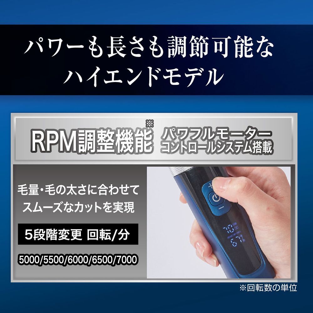 プロフェッショナル レギュラー