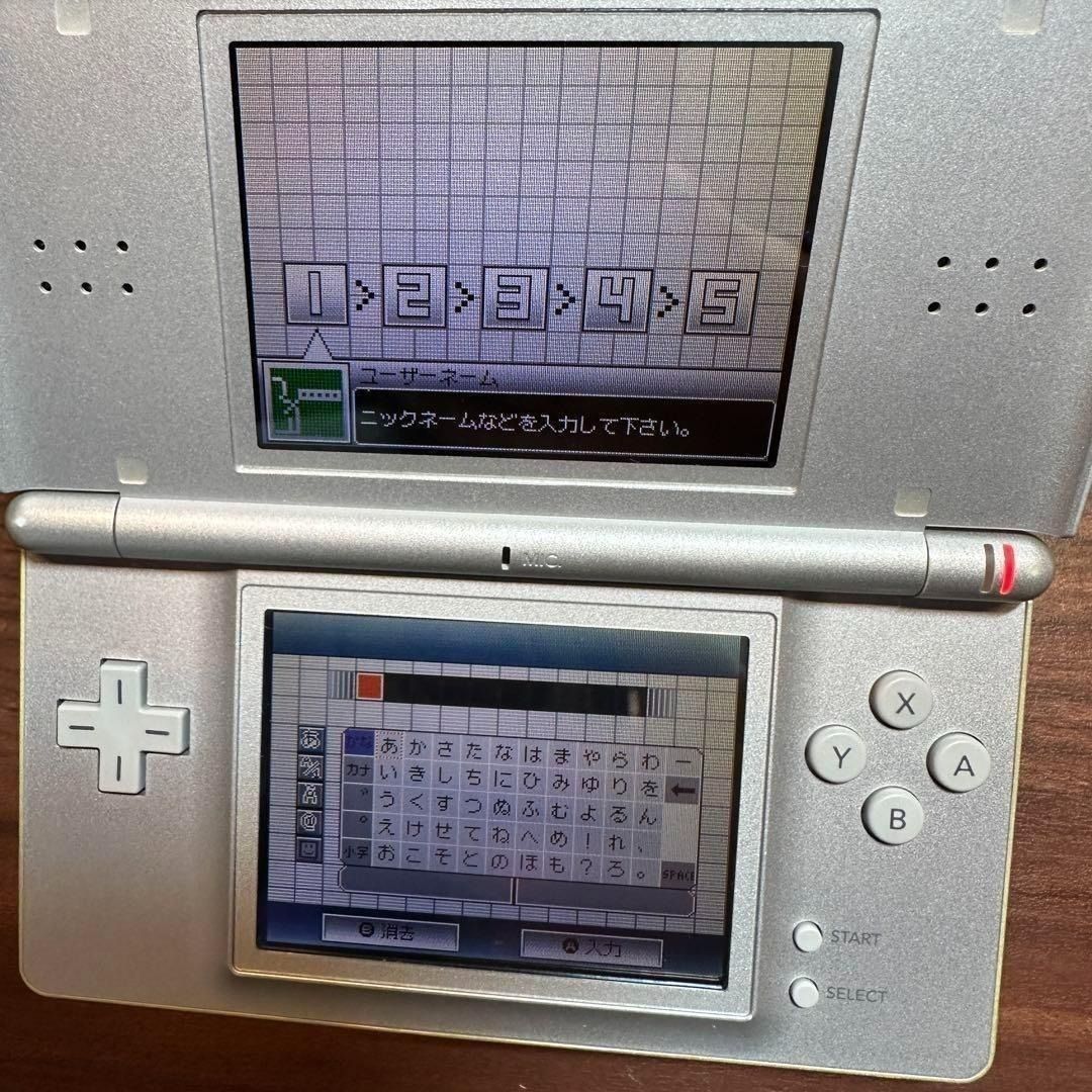 ニンテンドーDS LITE