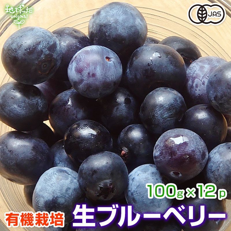 生ブルーベリー 100g×12p 有機栽培 化学肥料・農薬不使用 鹿児島県産 計1.2kg ベリー 有機JAS 無農薬 冷蔵便 fresh blueberry 発送期間6～8月