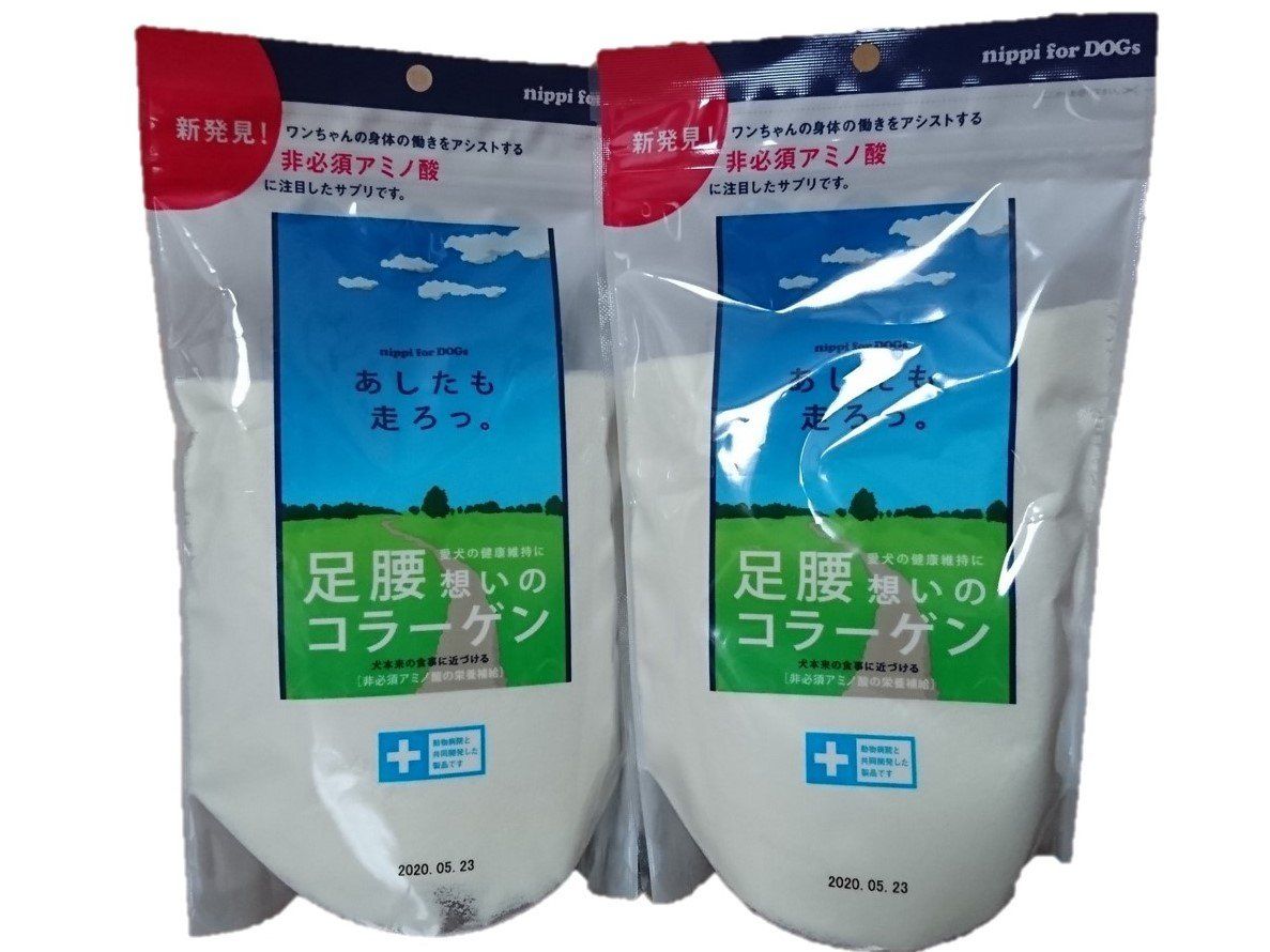 ギター PastFx Gallstone Phaser PastFx Gallstone Phaser