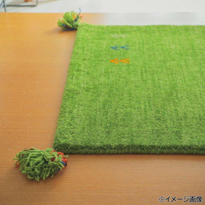 シンプルギャッベマット AYAKA アヤカ 玄関マット 70×120cm グリーン GSCD802937 MARWIL-DEMENAGEMENTS_CH