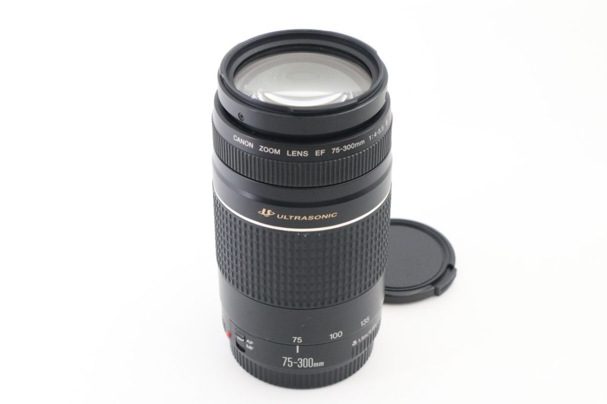 Canon キヤノン キャノン Zoom EF 75-300mm F/4-5.6 III USM AF