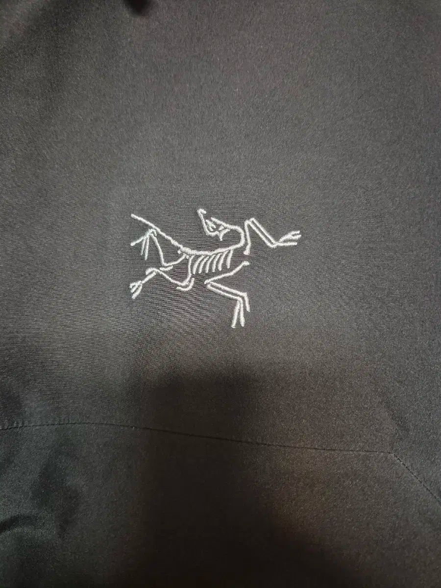 ARC TERYX アークテリクス ベータ LT ライトウェイト 軽量 ブラック