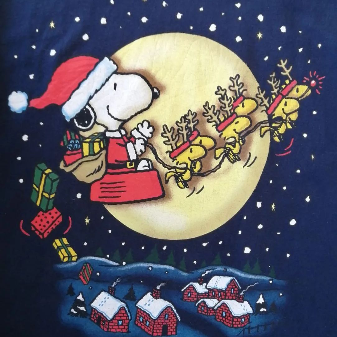 スヌーピー サンタクロース bAAxEFM8pFboKpgjs3CC3E.jpg@jpg