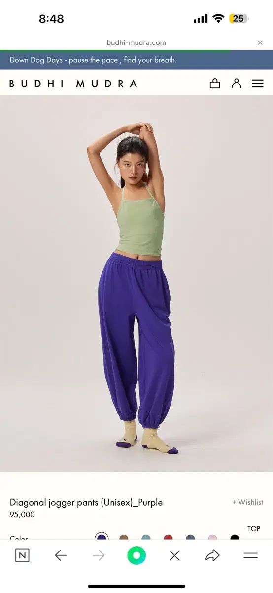 BUDHI MUDRA 対角線 ジョガー パンツ xs