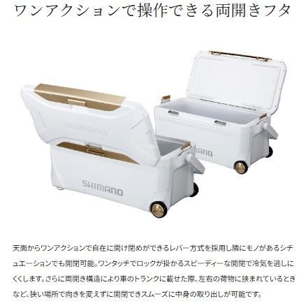 シマノ スペーザ ライト 250 NS-425Y グレー (8202) クーラーボックス