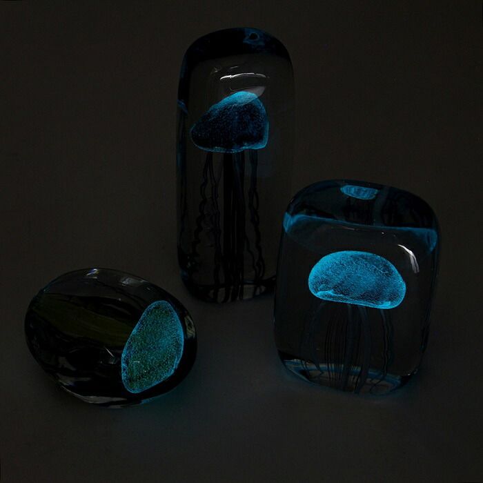 Caithness ケイトネス 青い渦巻 ペーパーウェイト Caithness Glass - Caithness Glass の手作りペーパーウェイト