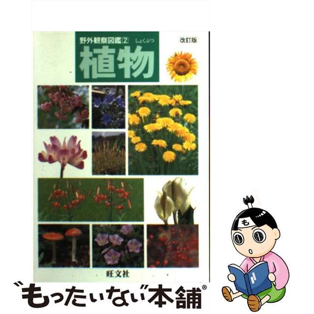 50%OFF! 植物の育て方 野外観察図鑑１０ 旺文社 aob.adv.br