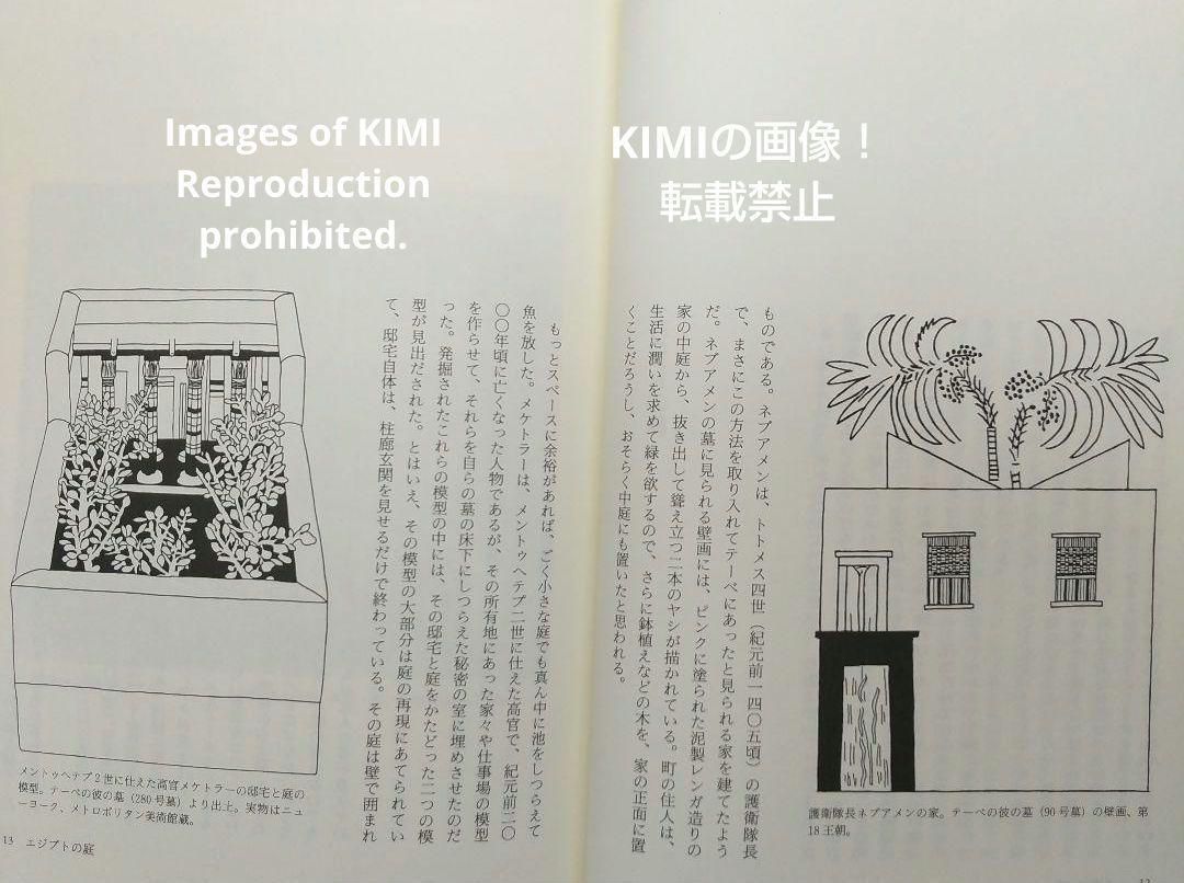 希少 ファラオの秘薬 古代エジプト植物誌 単行本 初版 第1刷発行