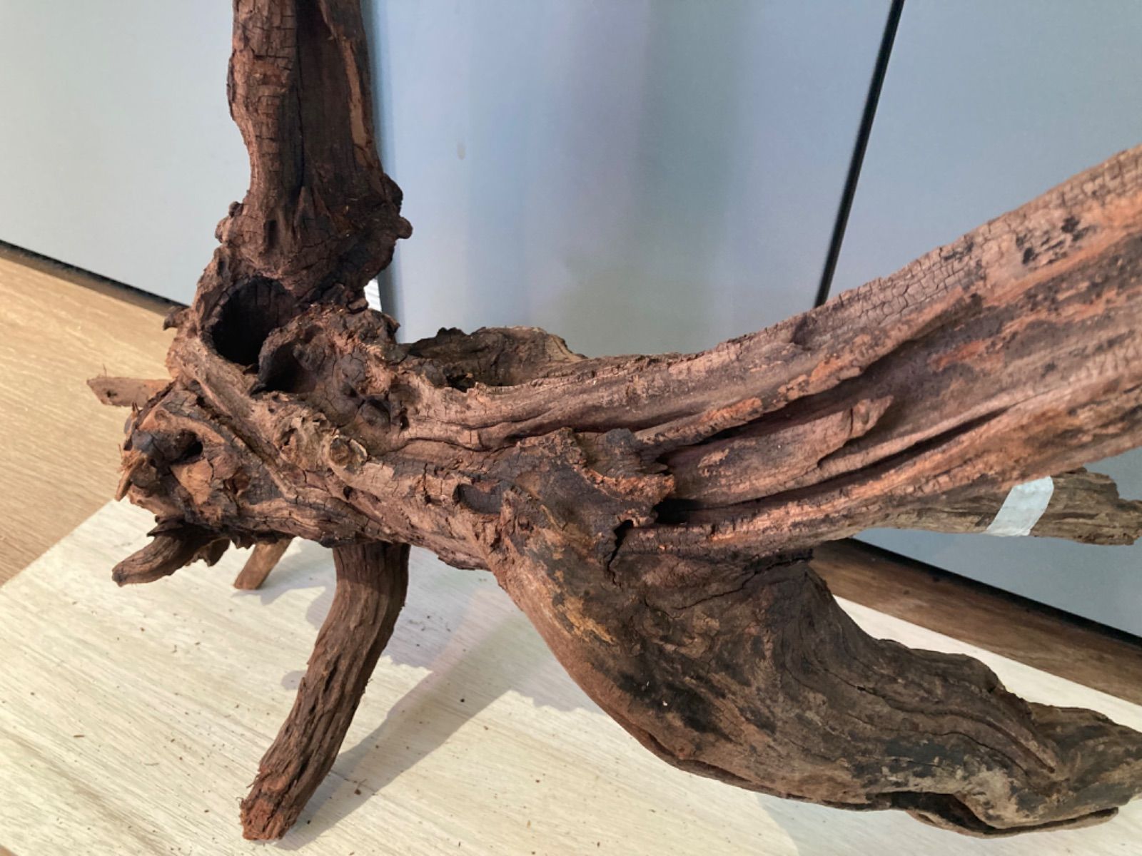 ホーンウッド系流木【セレクト】804 水草 おもり