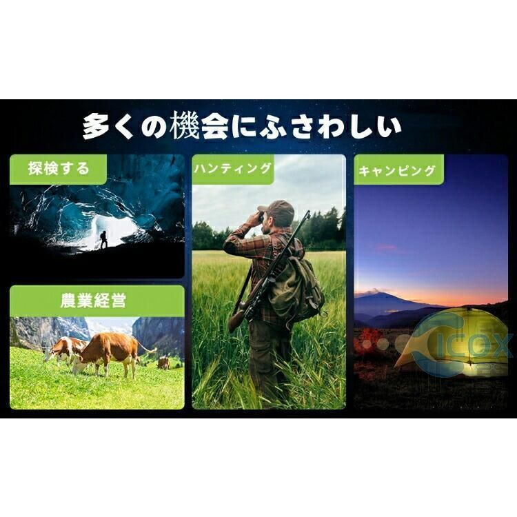 双眼鏡