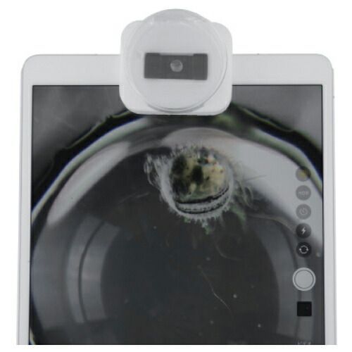 タブレット顕微鏡ミエル１ミリＥ－１０S77-2545