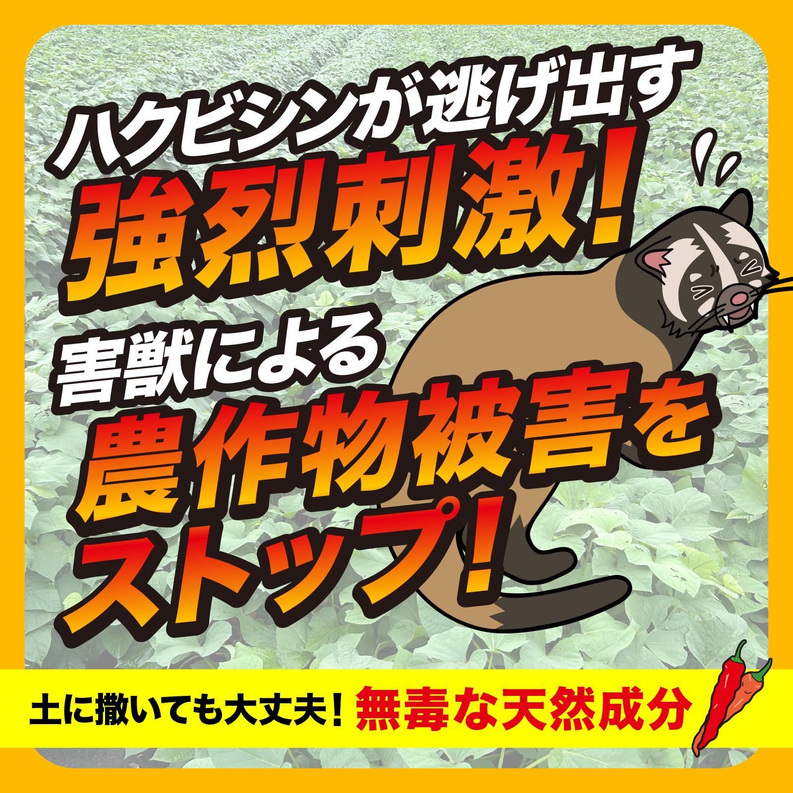 ネズミ