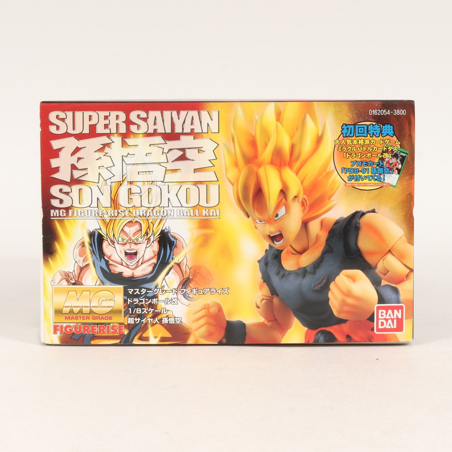 Fertilization 発音 BANDAI MG FIGURERISE 1/8 ドラゴンボール改