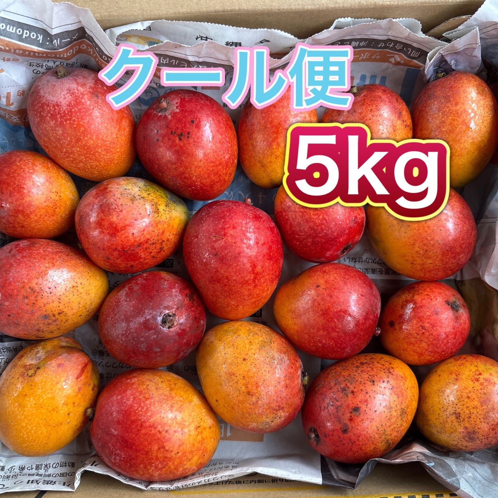 沖縄県産 家庭用 ミニマンゴー 5キロ未満 沖縄県産 家庭用 完熟アップルミニマンゴー5kg - メルカリ