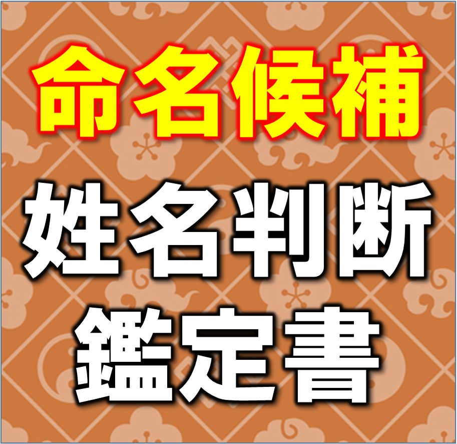 姓名判断による命名鑑定書（郵送） - メルカリ