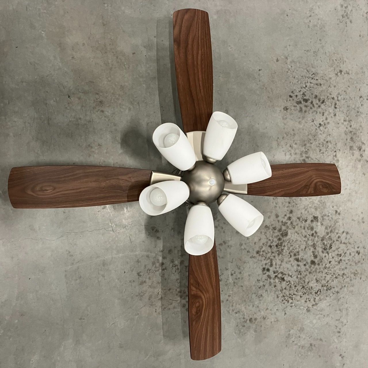 DAIKO 美品シーリングファン 最終価格 美品 DAIKO 大光電機 シーリング