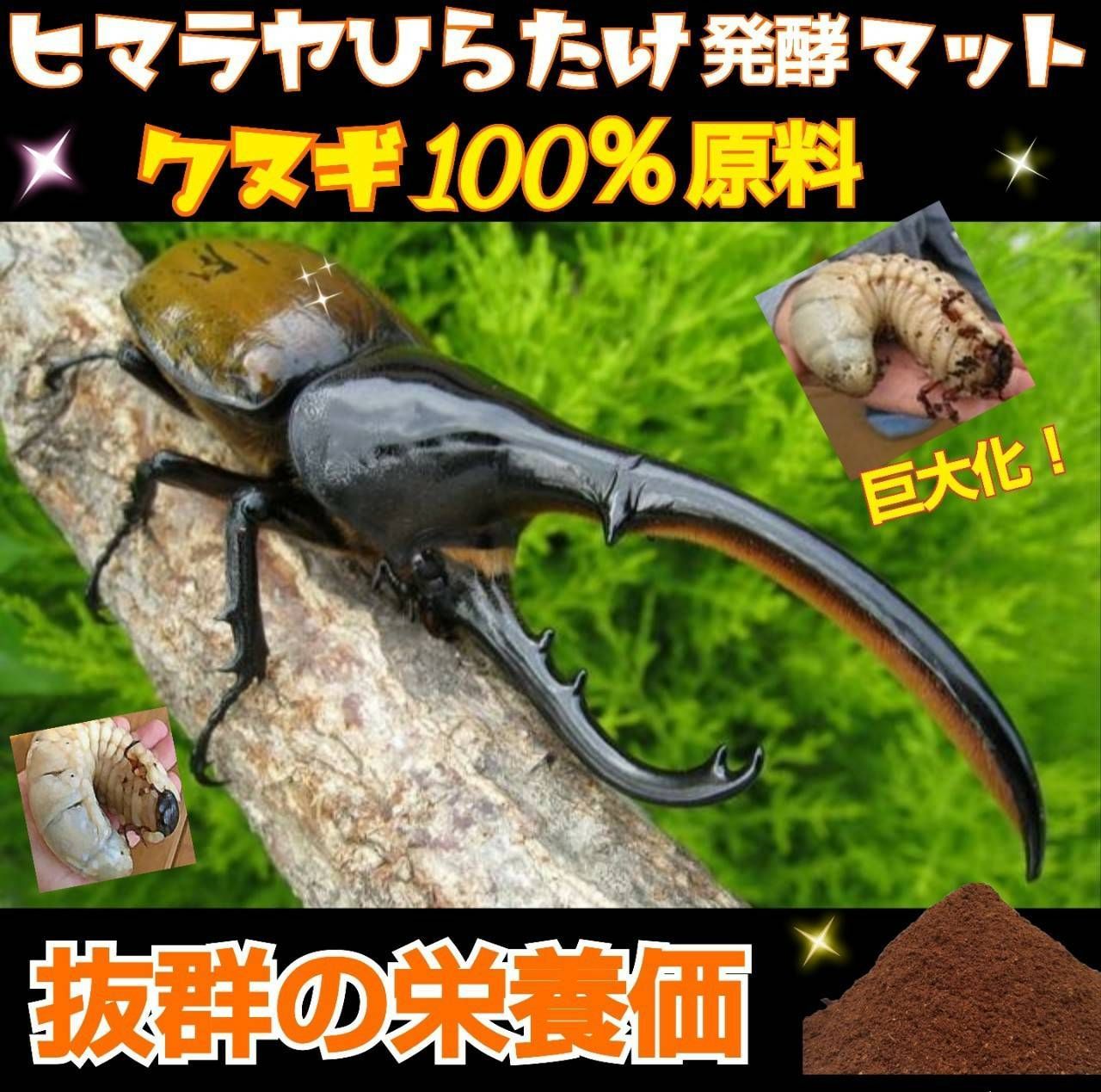 カブトムシ幼虫の餌、産卵に【改良版】発酵マット40L大きくなる☆雑虫混入全くなし - メルカリ