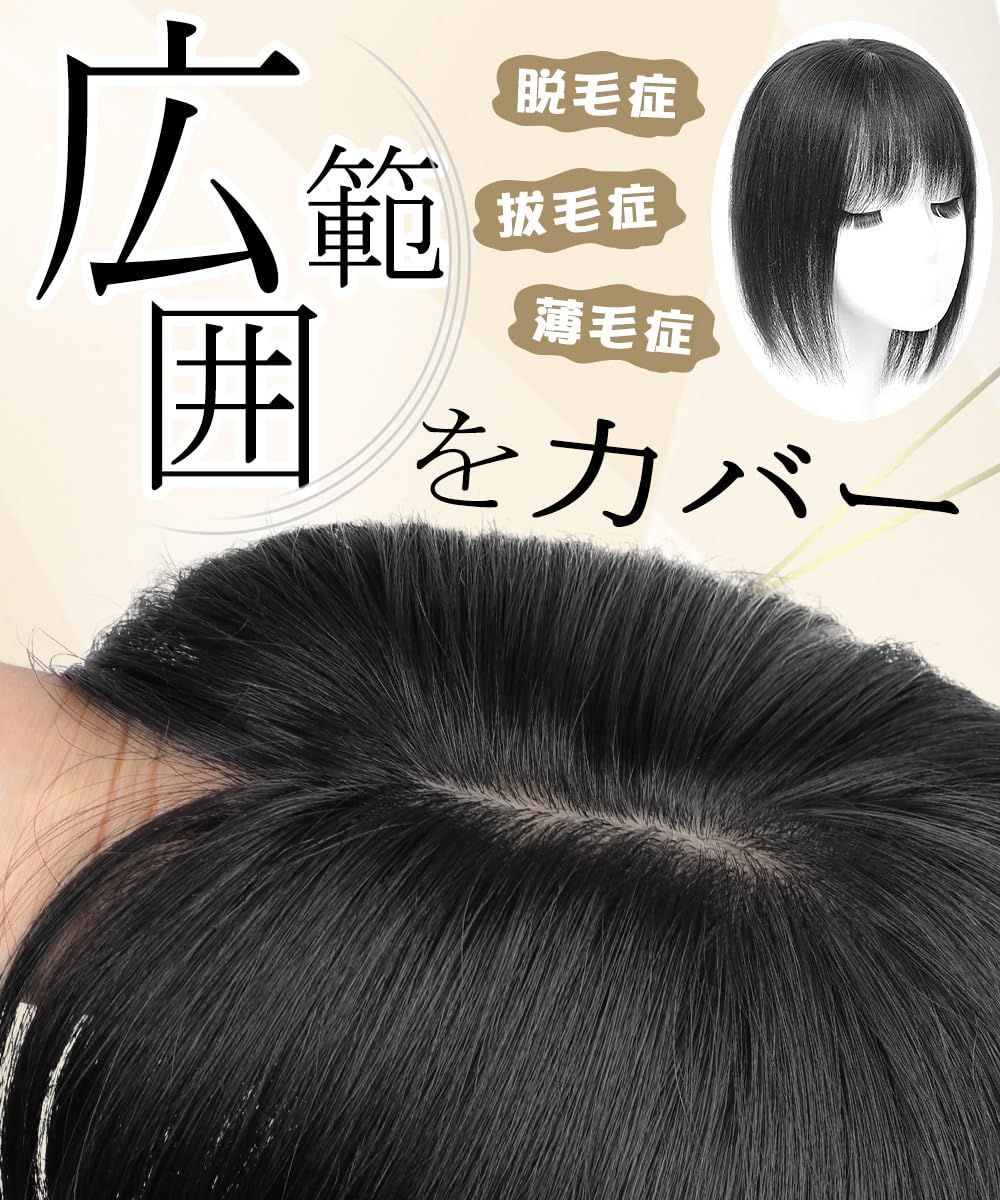 お値下げウィッグ ユキ製品ポイントウィッグトップヘアピース 【公式通販】