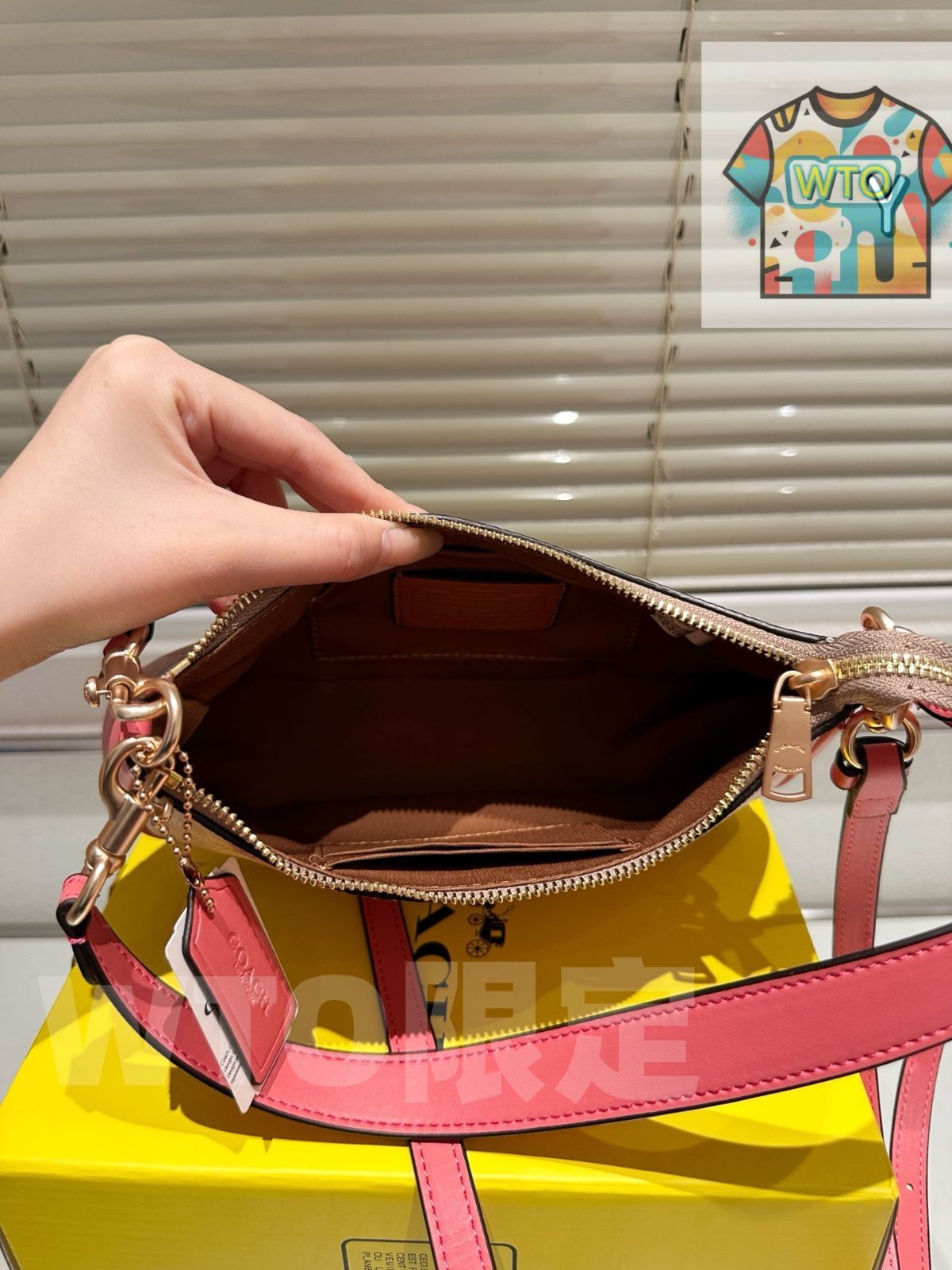 今日 COACH Teri ショルダーバッグ アンダーアームスタイル -WTO輸入1 DECORATOM_COM_BR