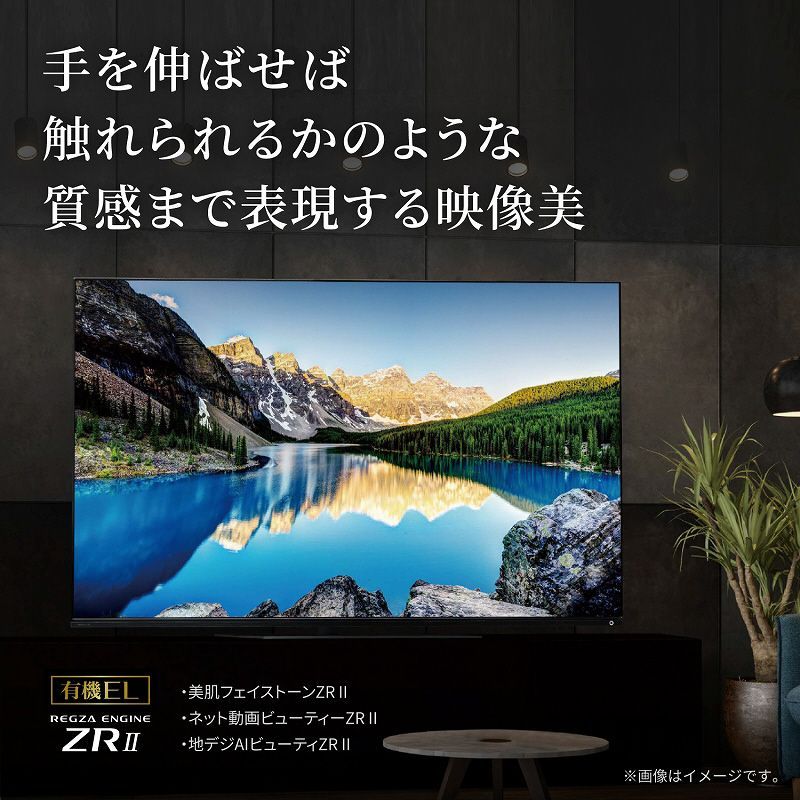有機ELテレビ48V型 REGZA(レグザ) 48X8900L(R) ［48V型 /4K対応 /BS 