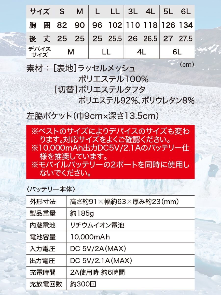 レディース