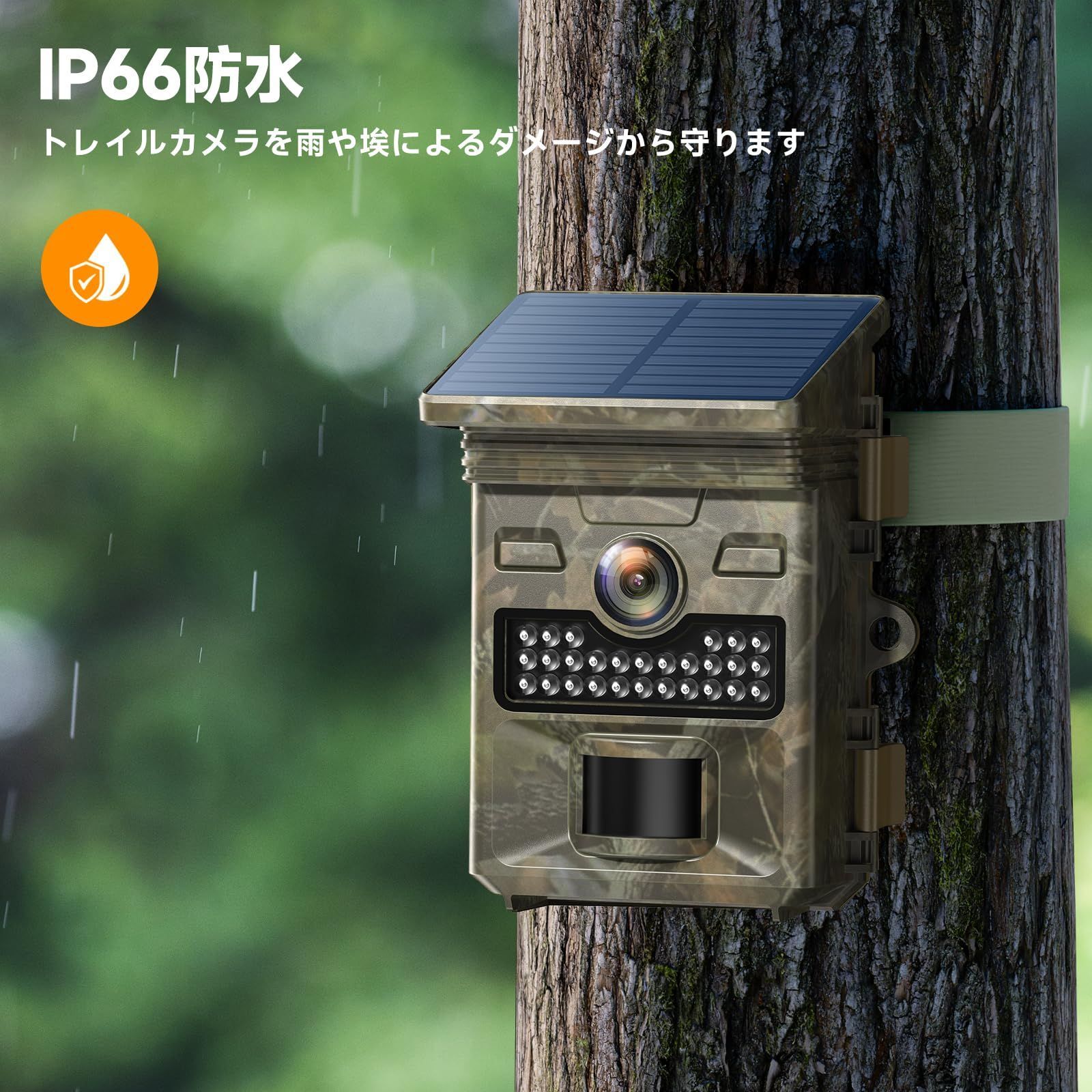 ナイトビジョン モーションアクティベート